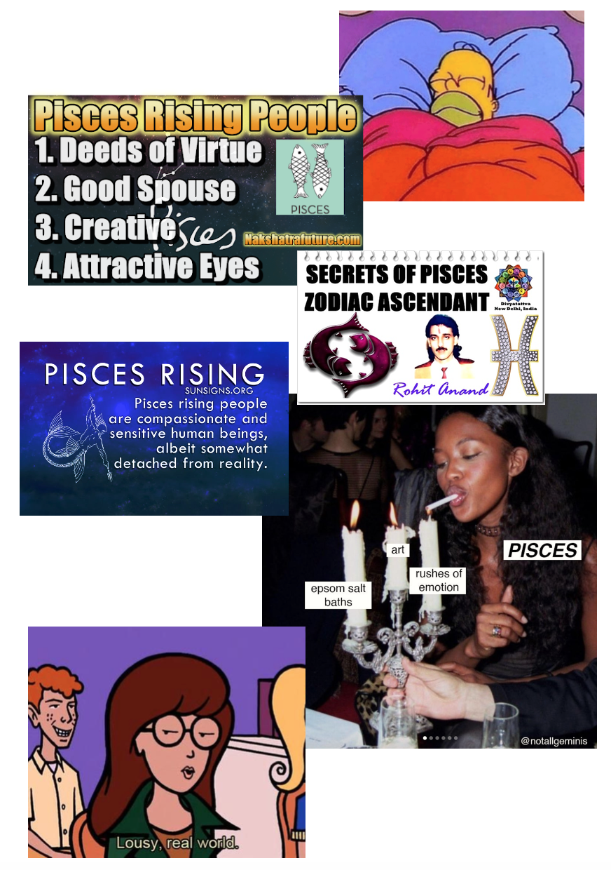 collage of pisces rising memes by Nat Lall