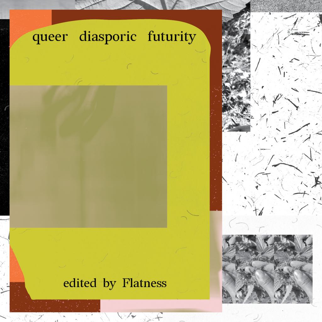 Queer Diasporic Futurity cover