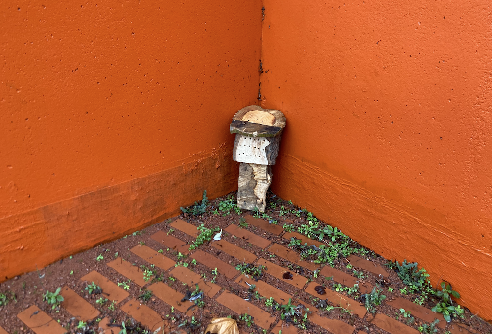 A wooden bee home resting in the corner of Peveril Gardens