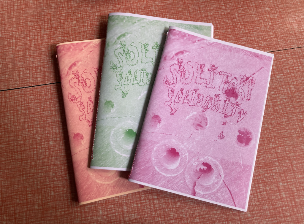 Different colour copies of Bee Zine in red, green and pink